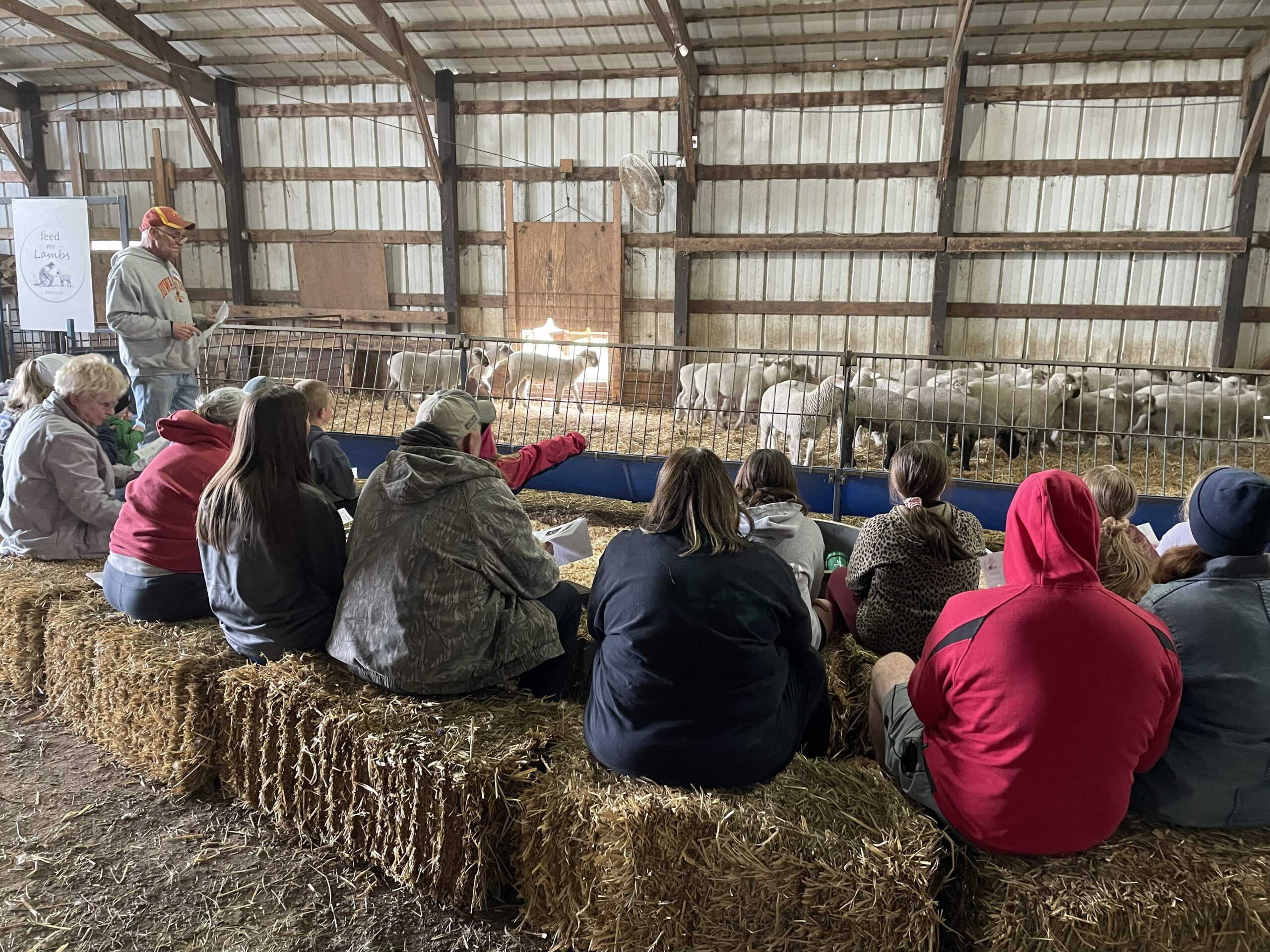 FeedMyLambs_008