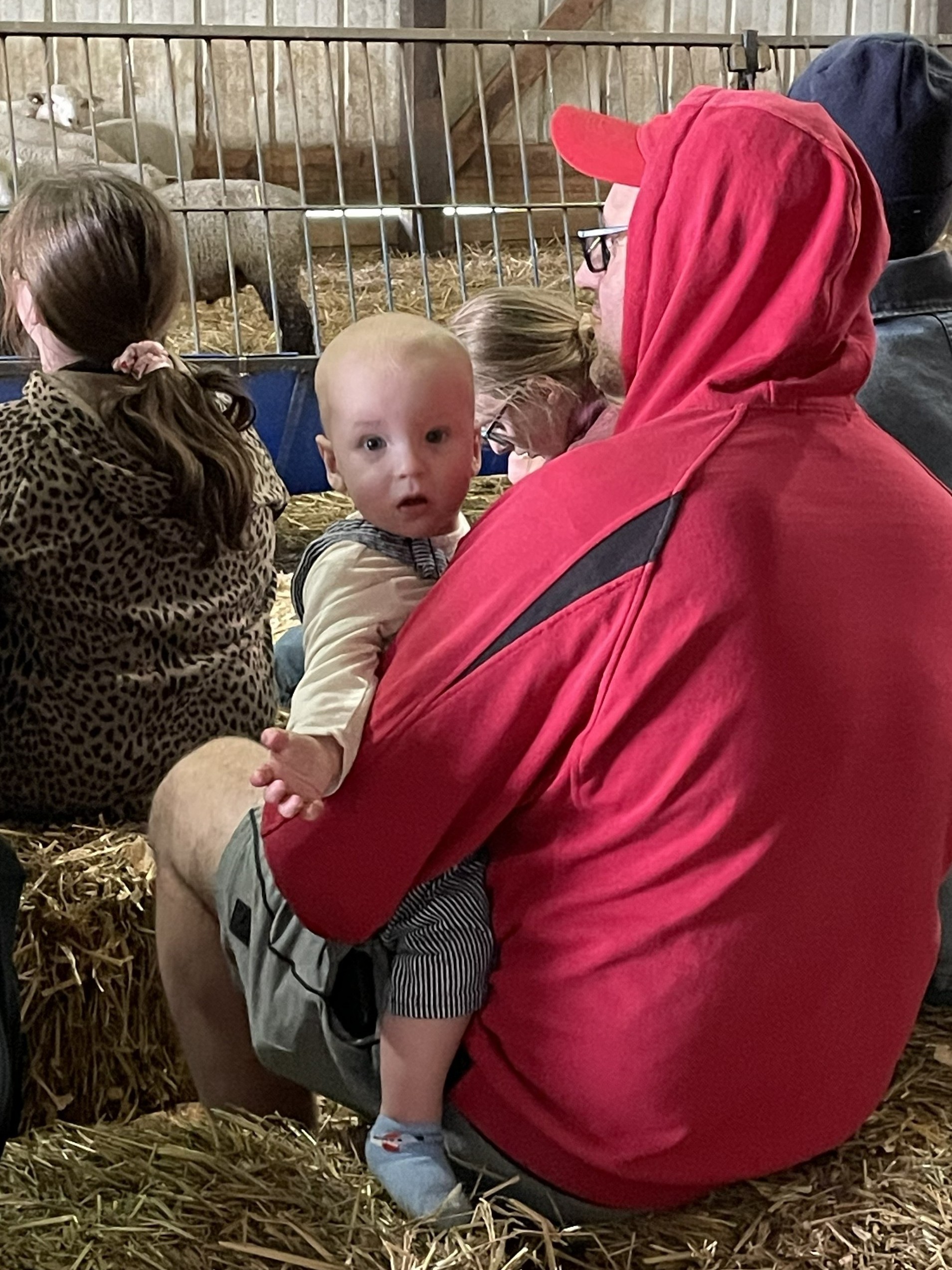 FeedMyLambs_010