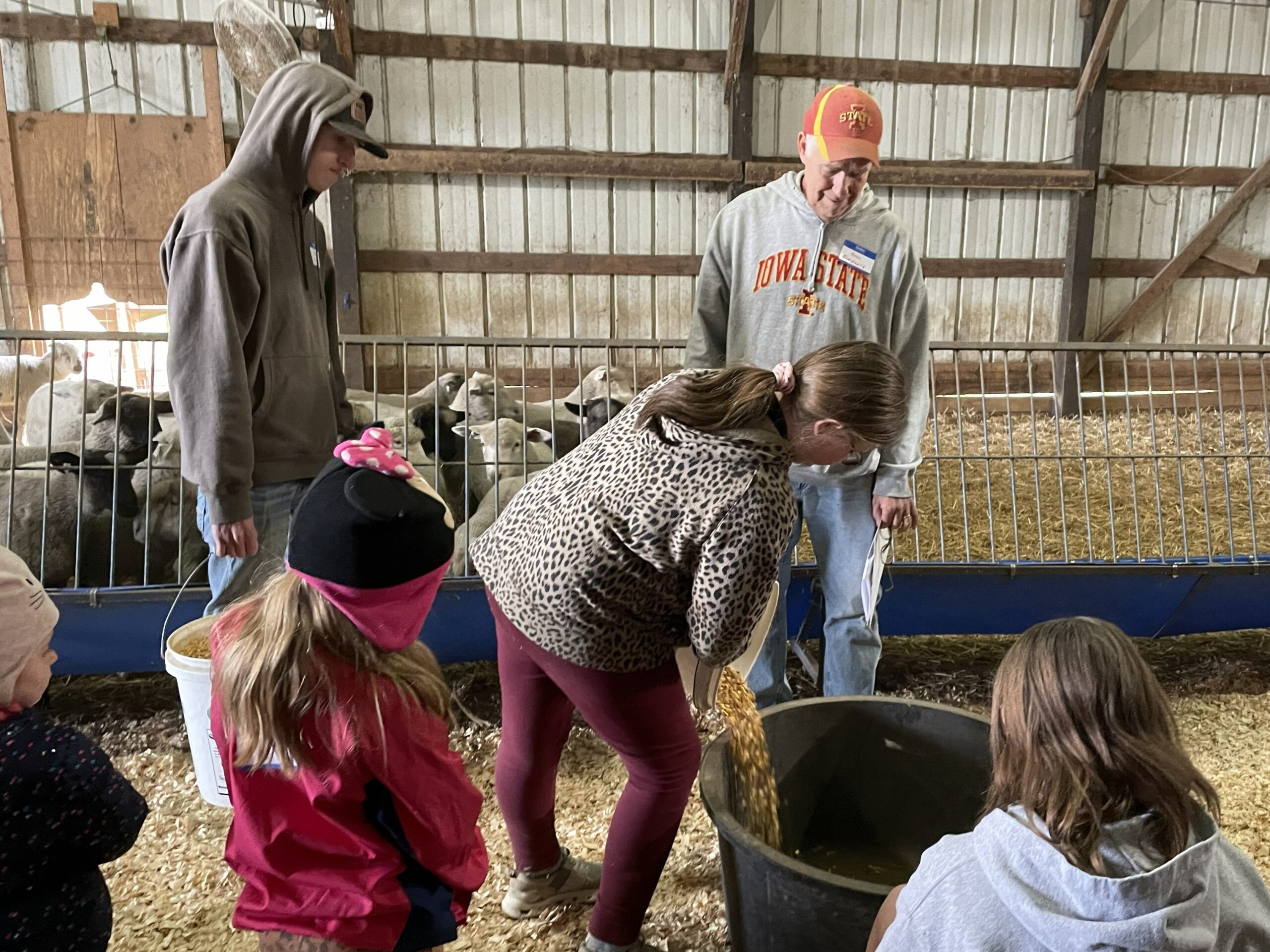 FeedMyLambs_013