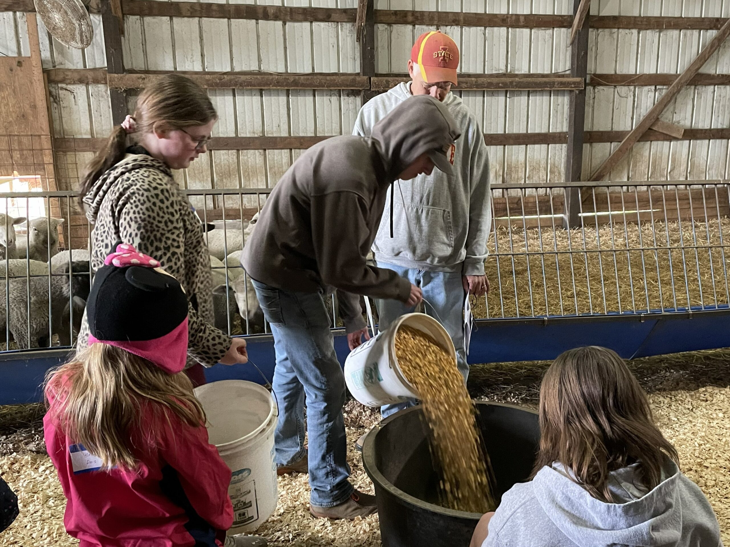 FeedMyLambs_014