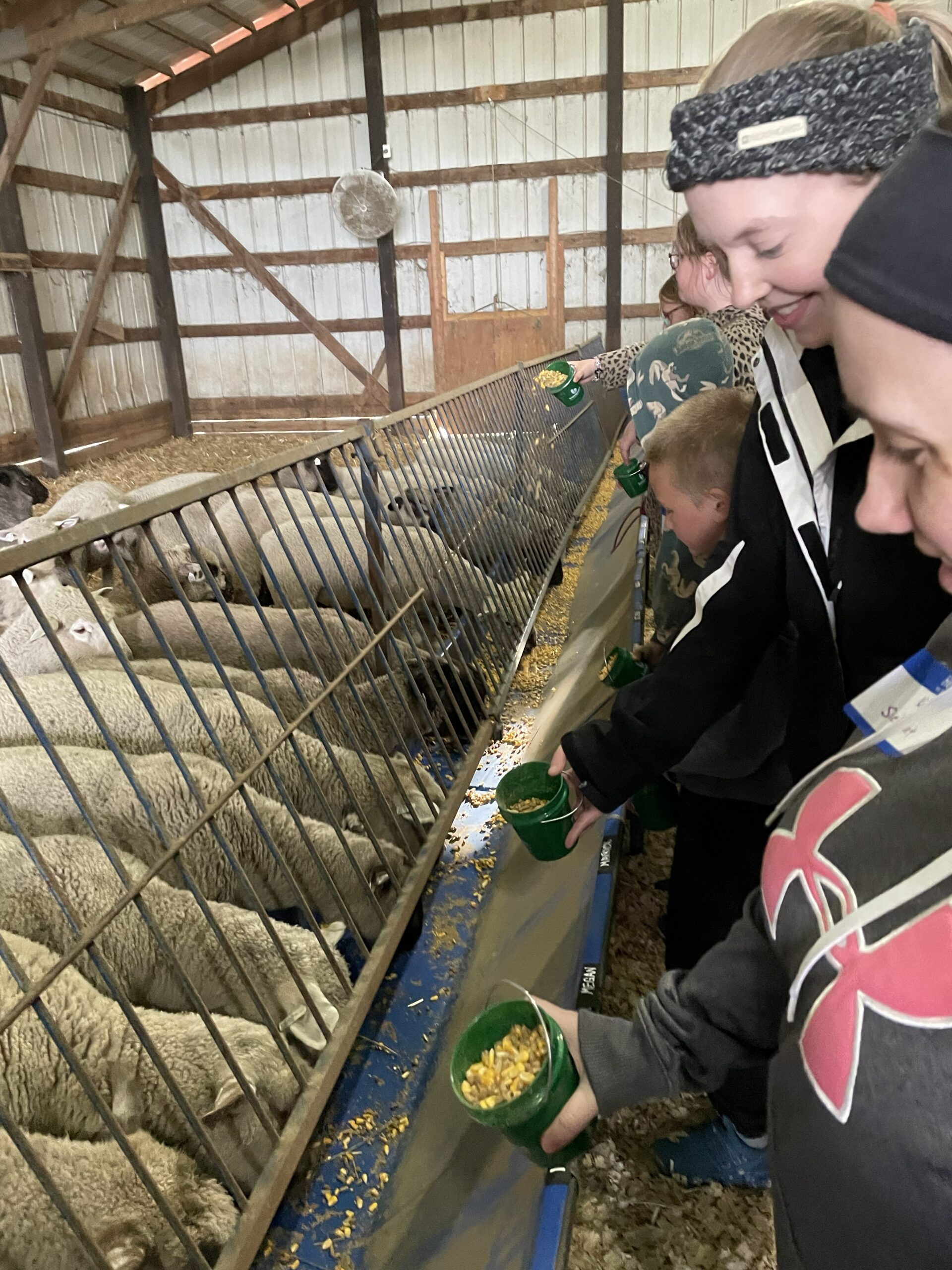 FeedMyLambs_018