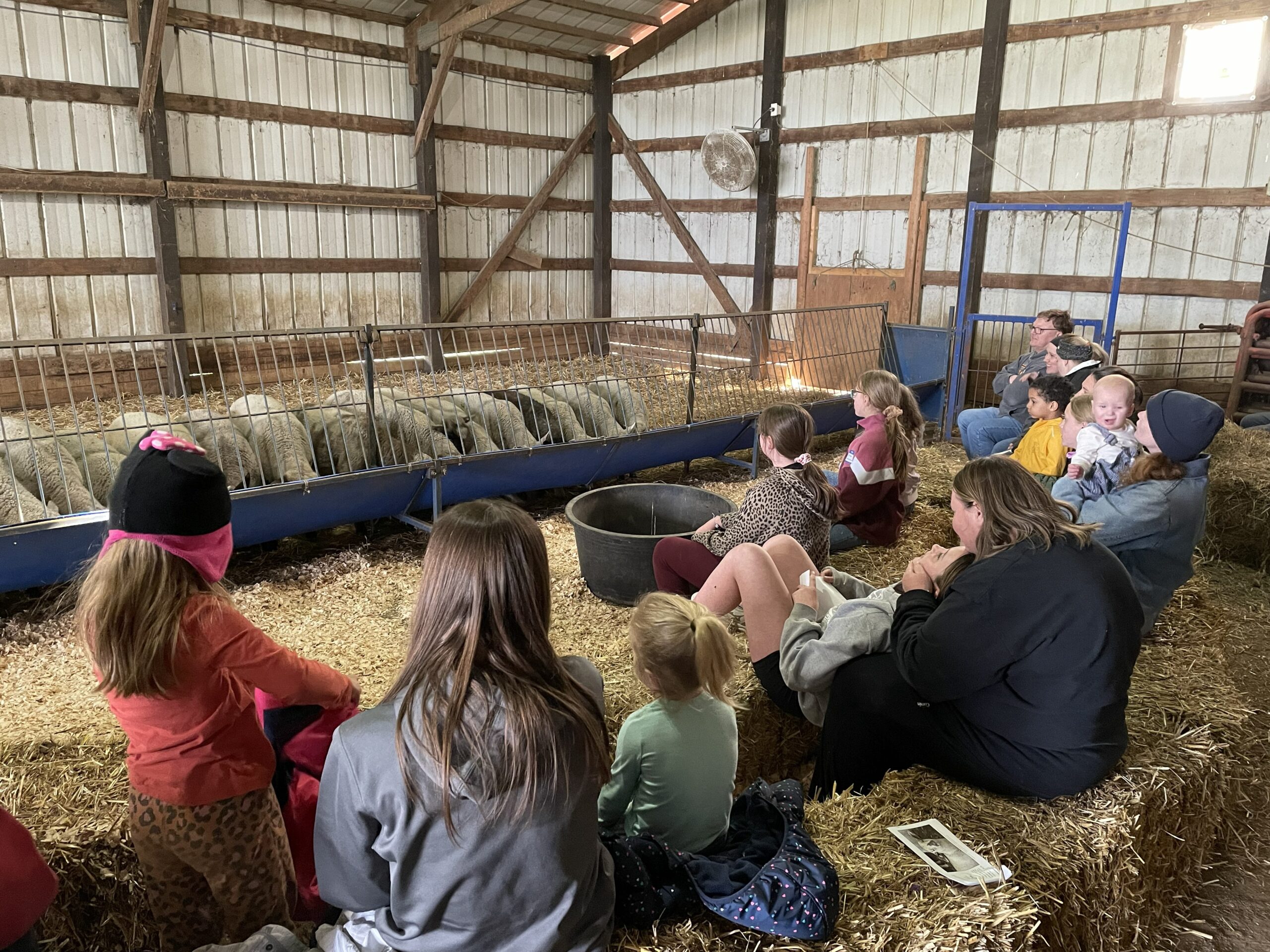 FeedMyLambs_019