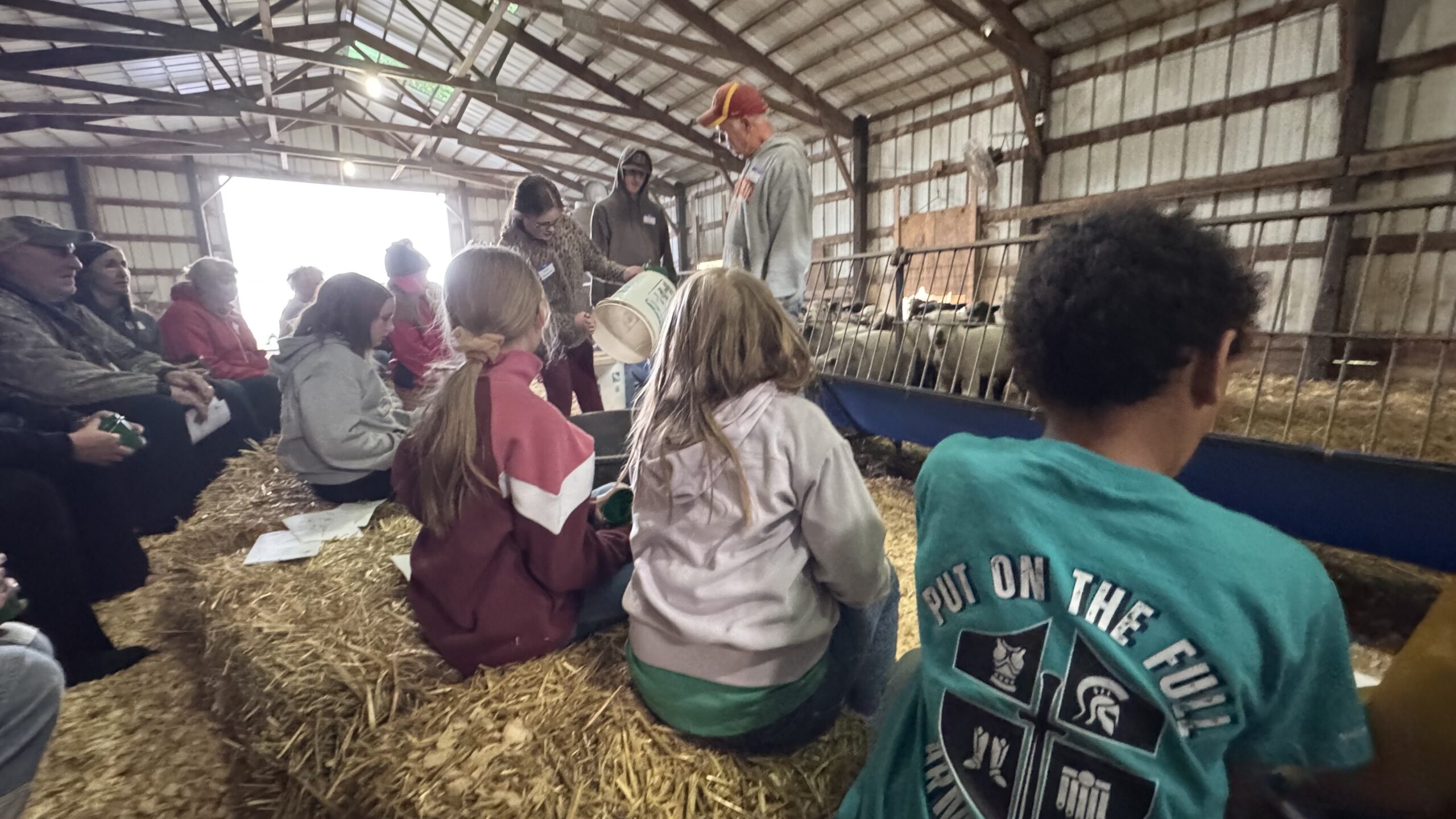 FeedMyLambs_026