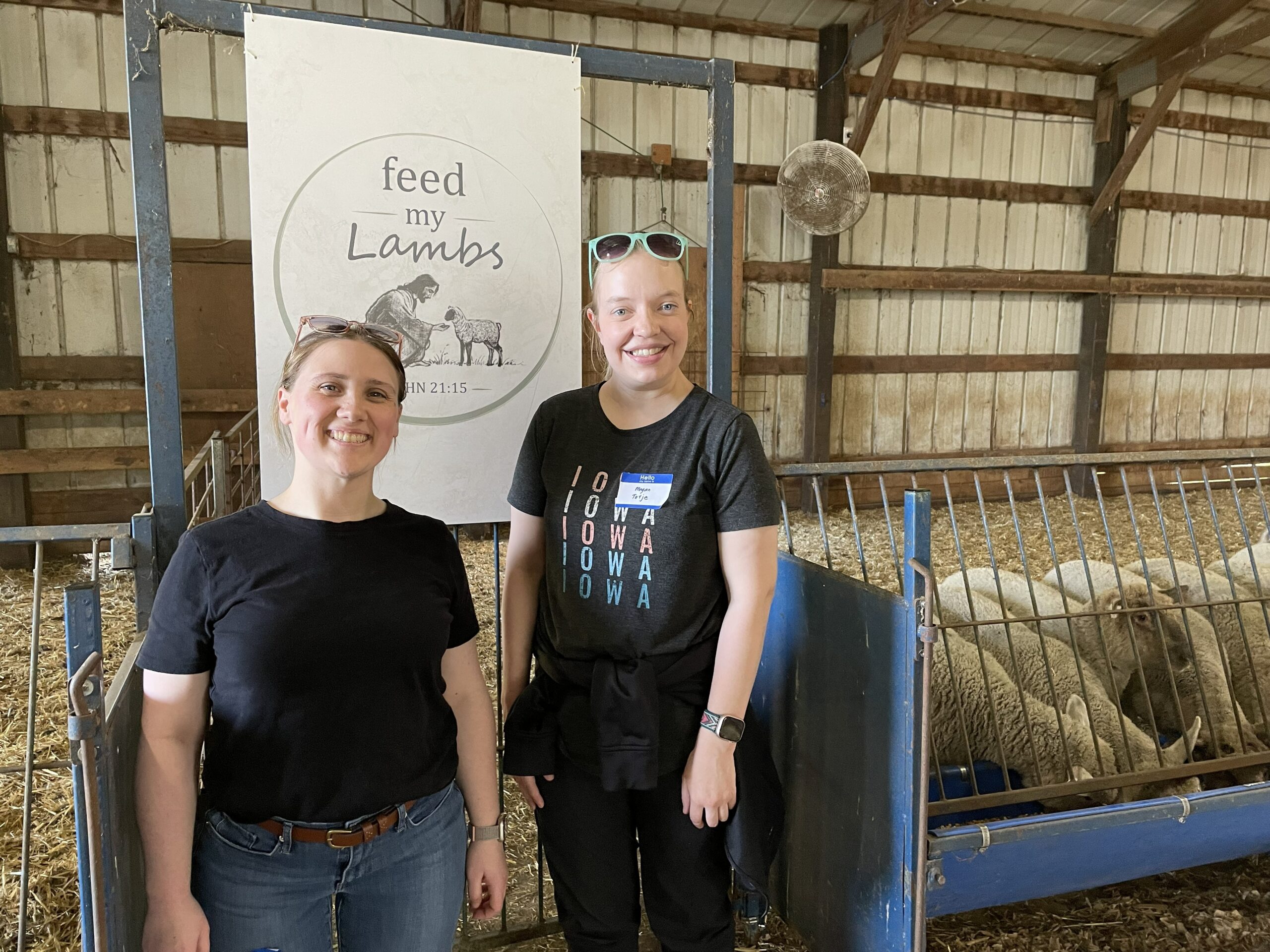 FeedMyLambs_035