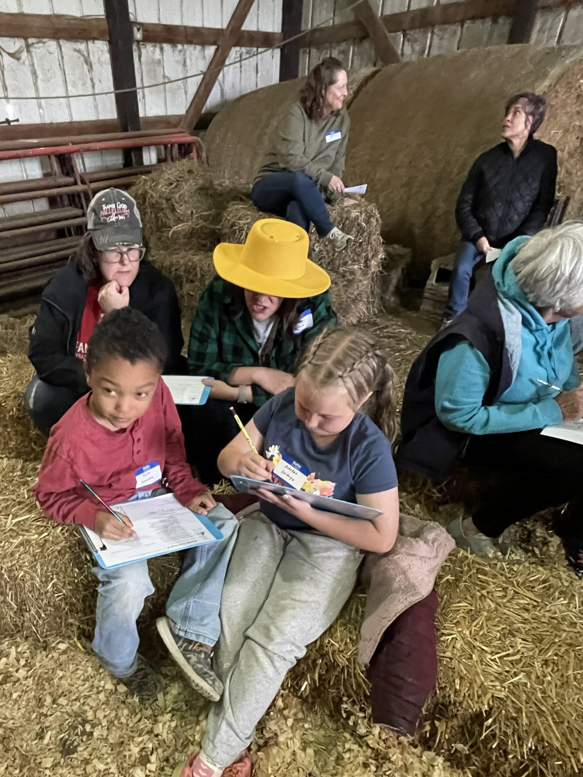 FeedMyLambs_051