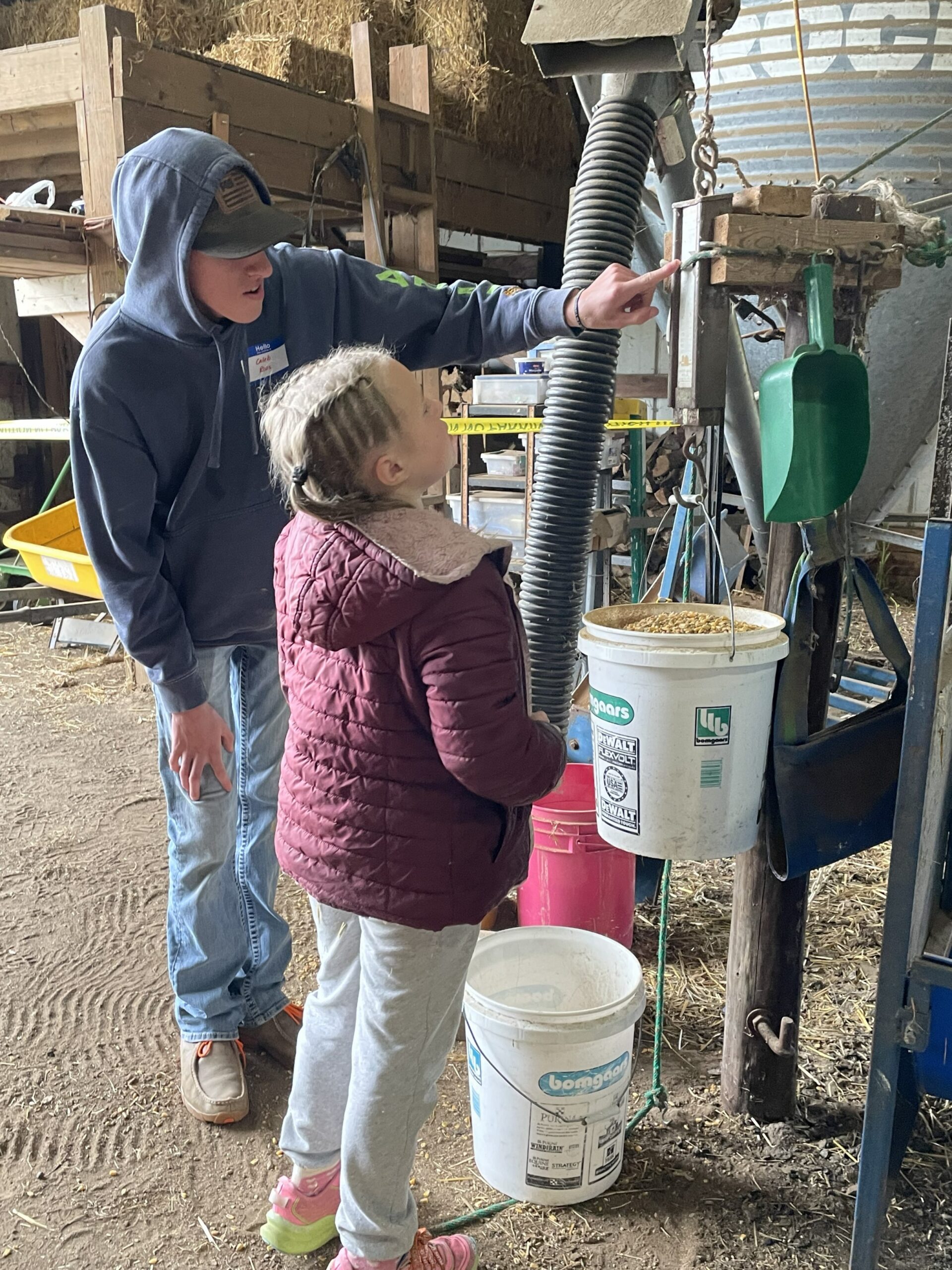 FeedMyLambs_053