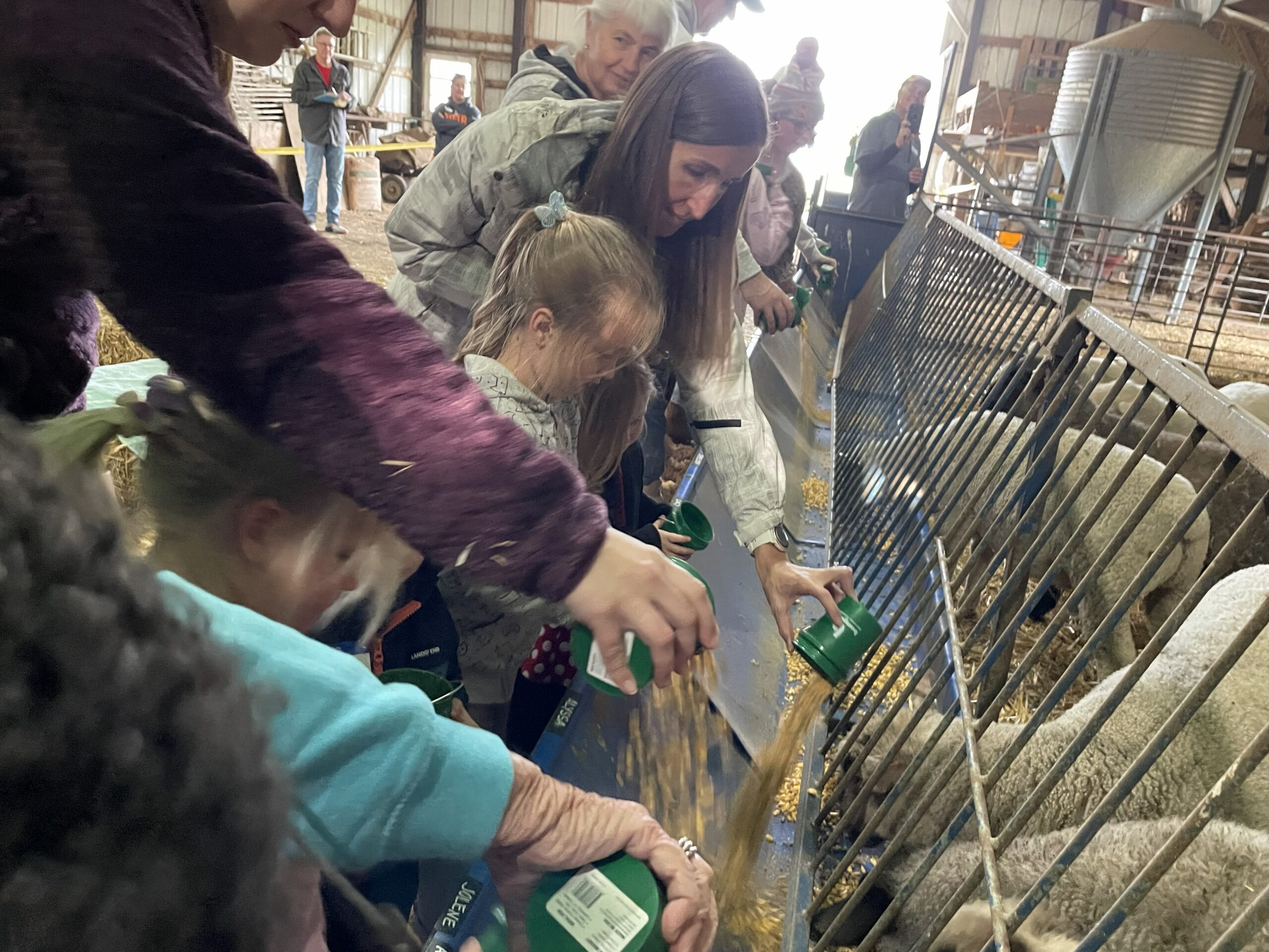 FeedMyLambs_054