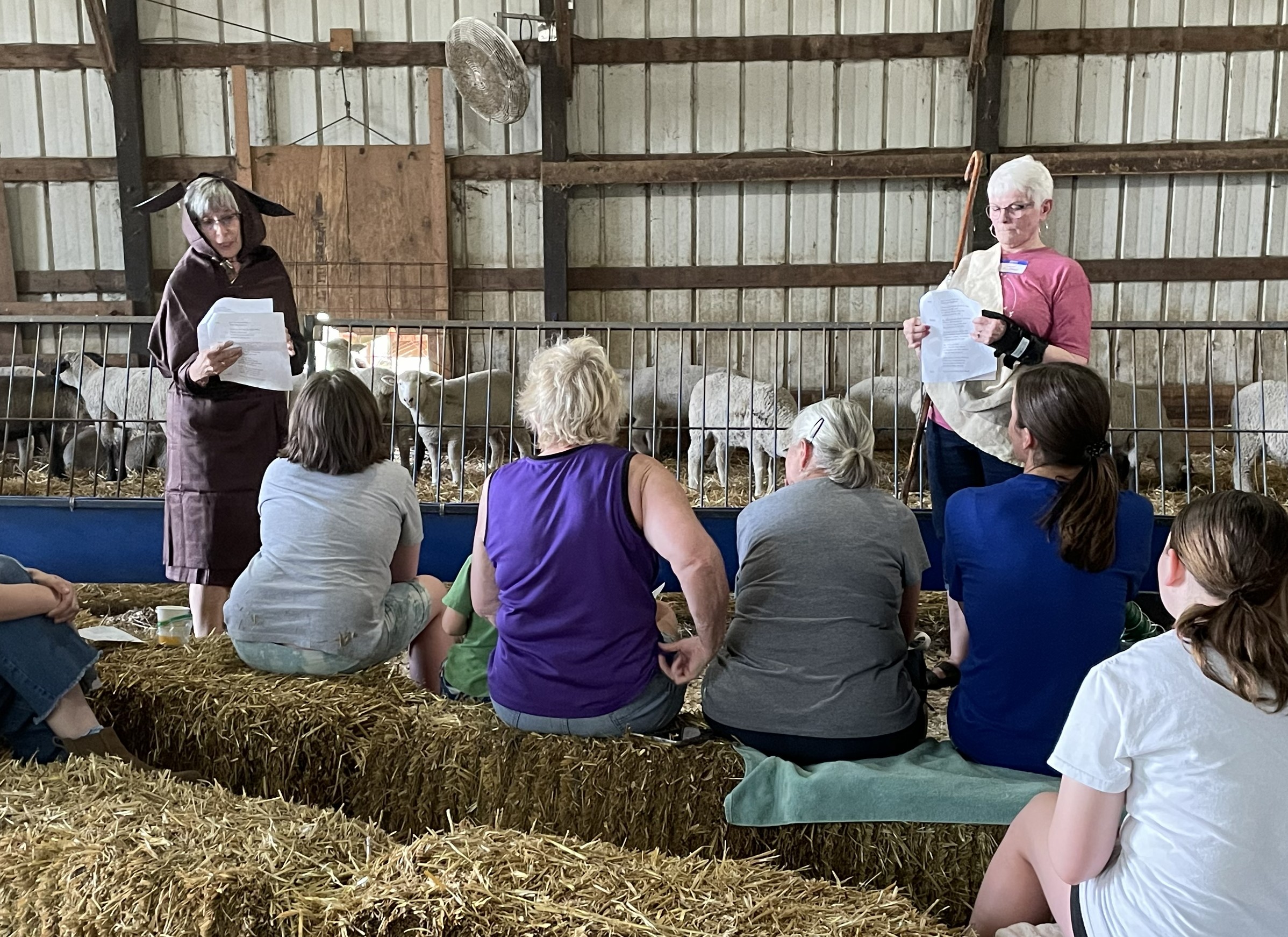 FeedMyLambs_066