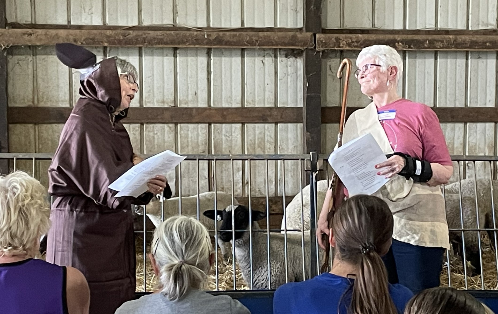 FeedMyLambs_067