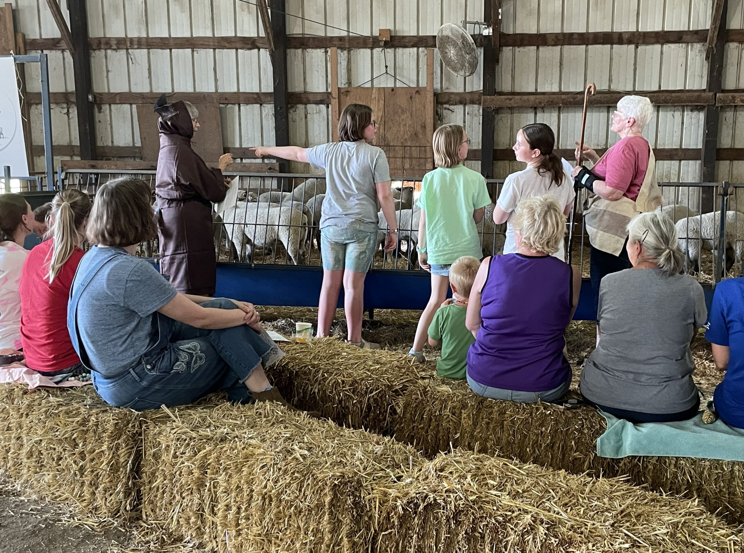 FeedMyLambs_068