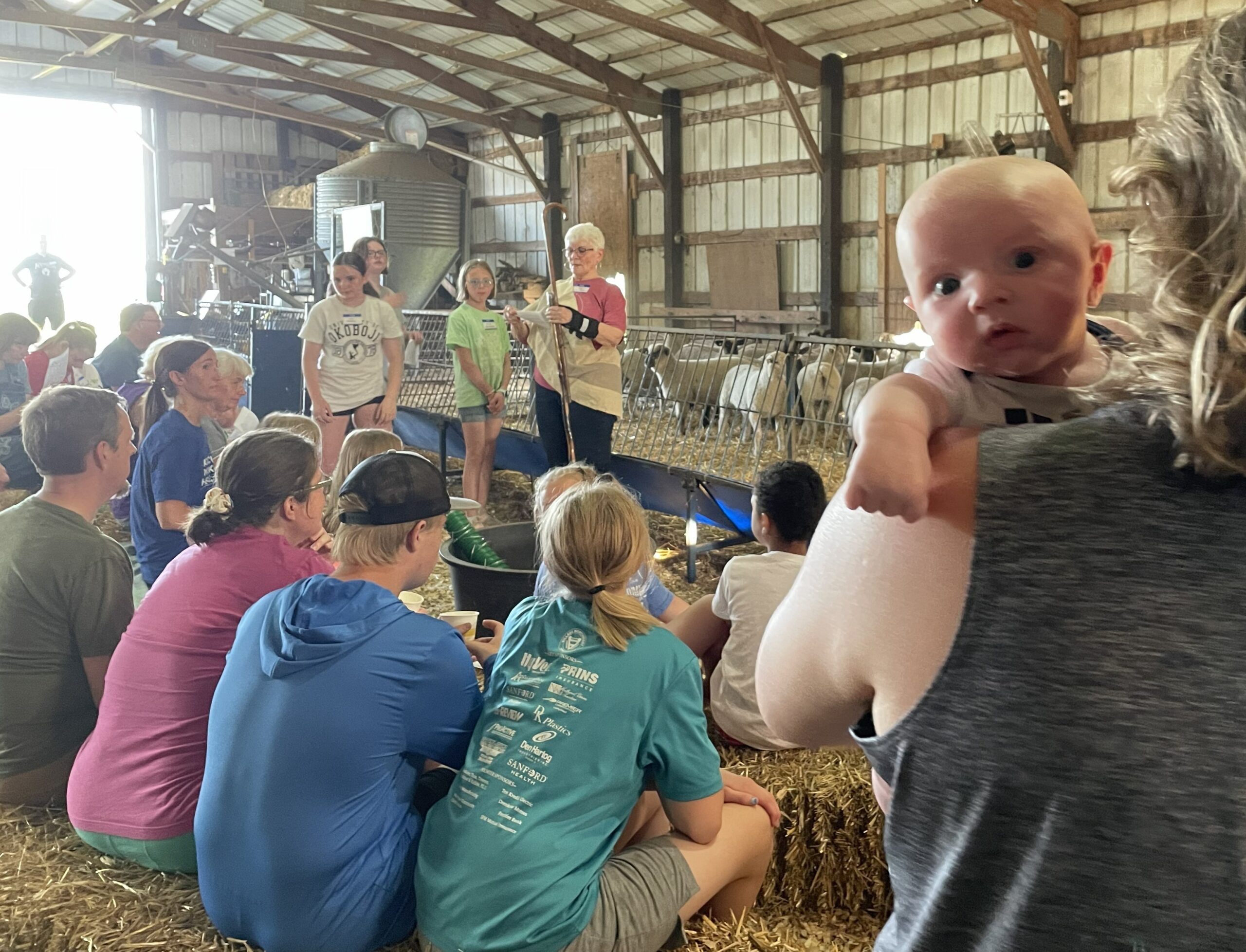 FeedMyLambs_069