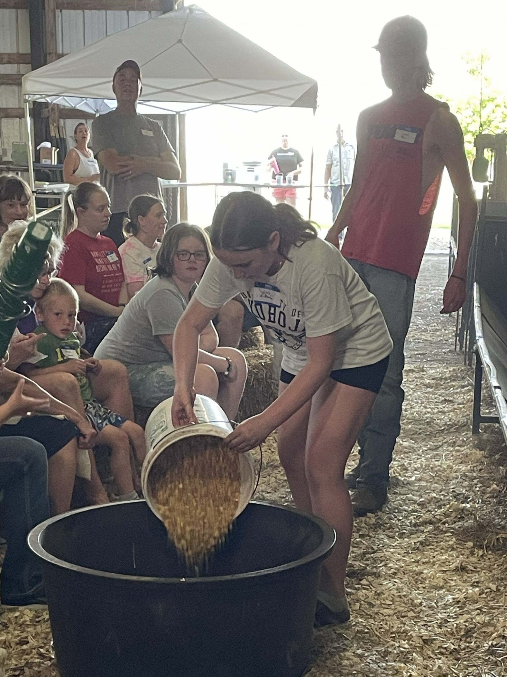 FeedMyLambs_070