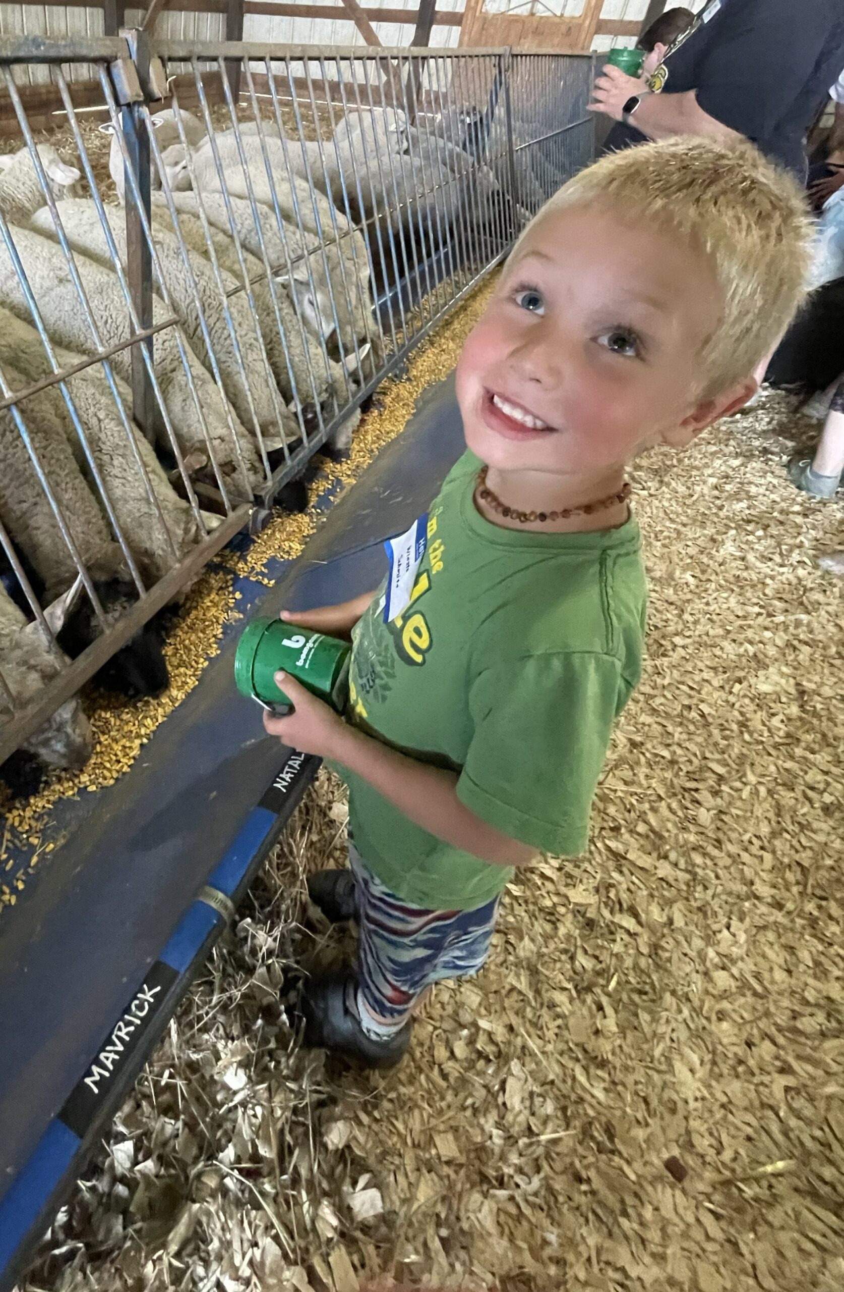FeedMyLambs_072
