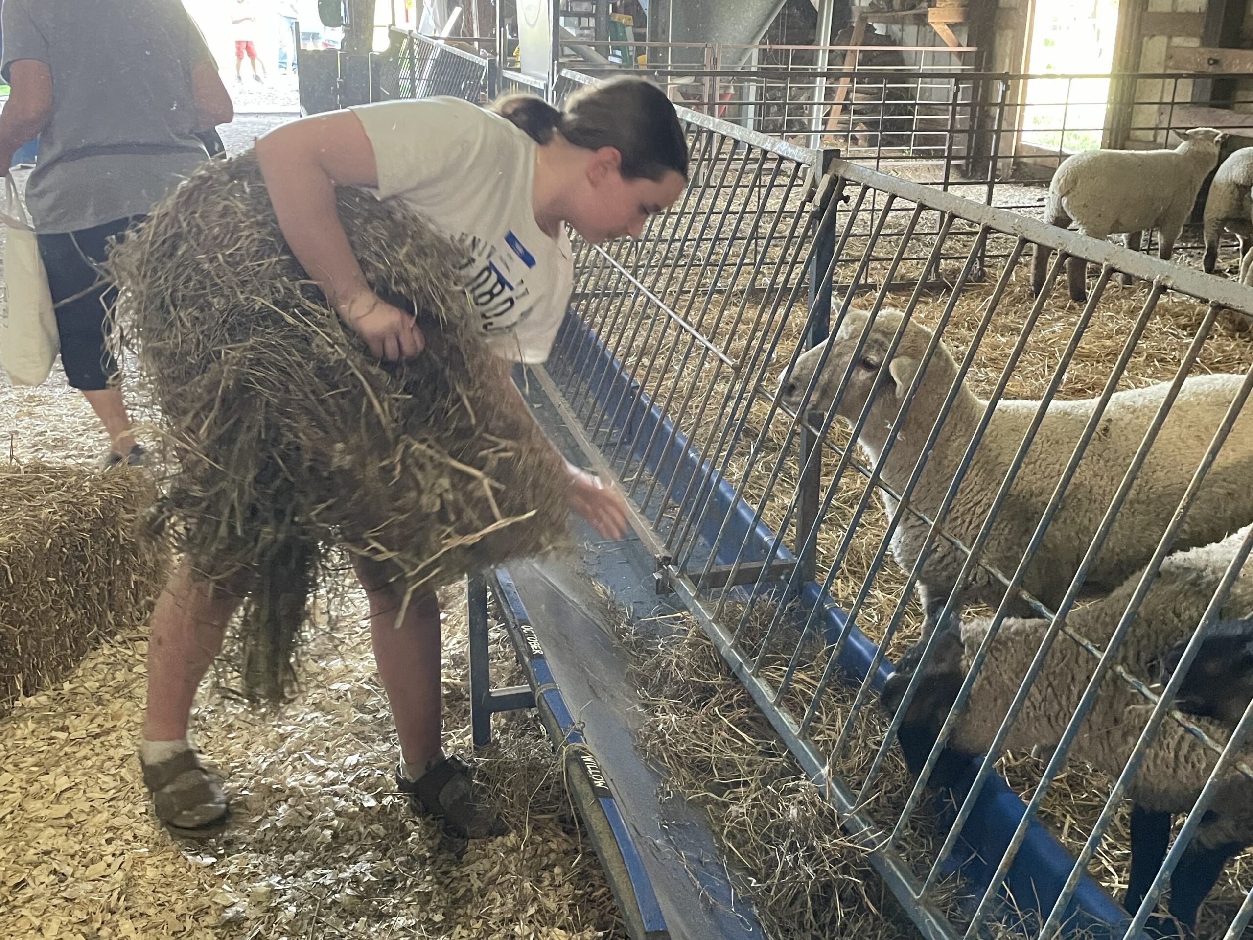 FeedMyLambs_076