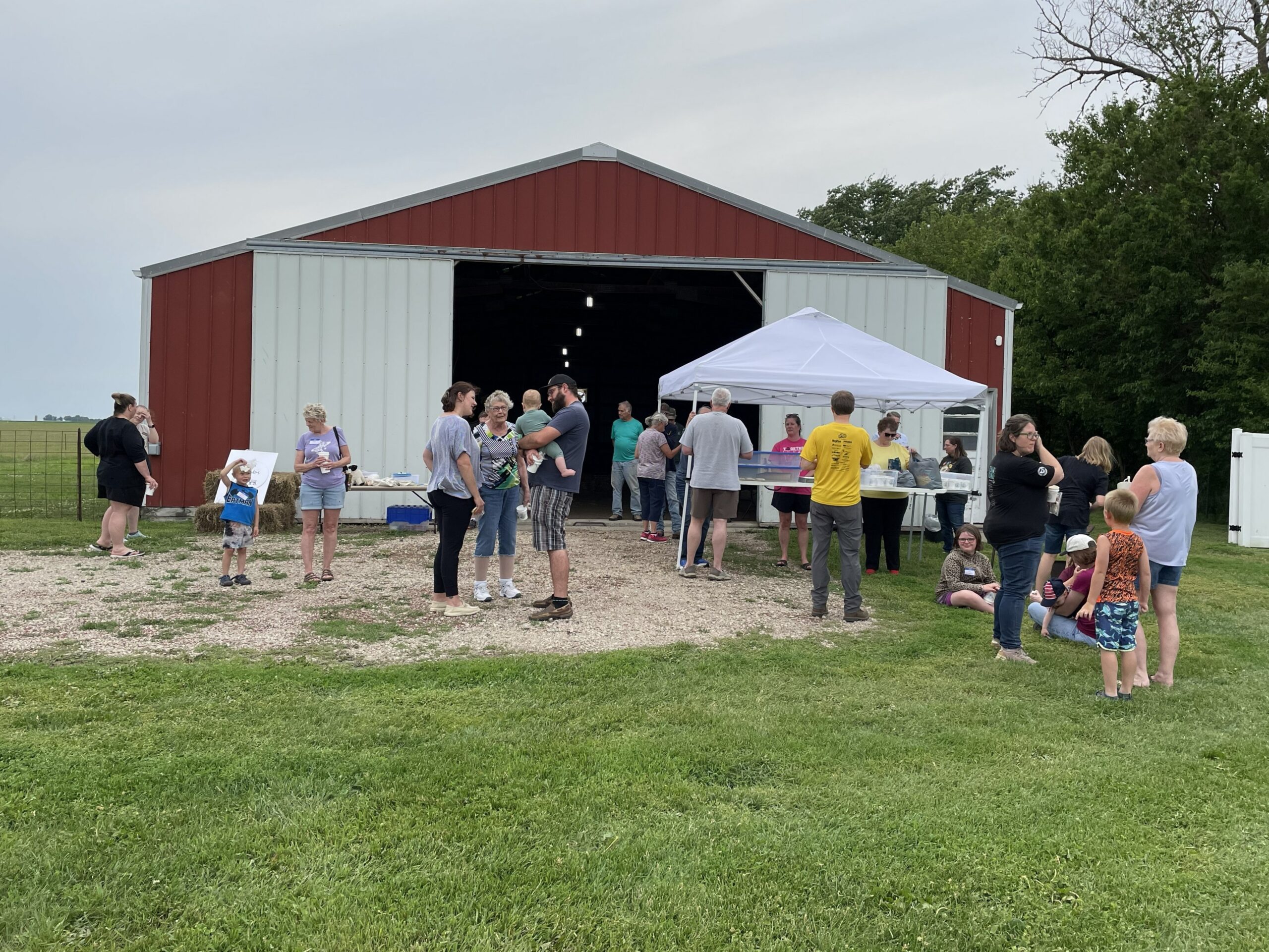 FeedMyLambs_078