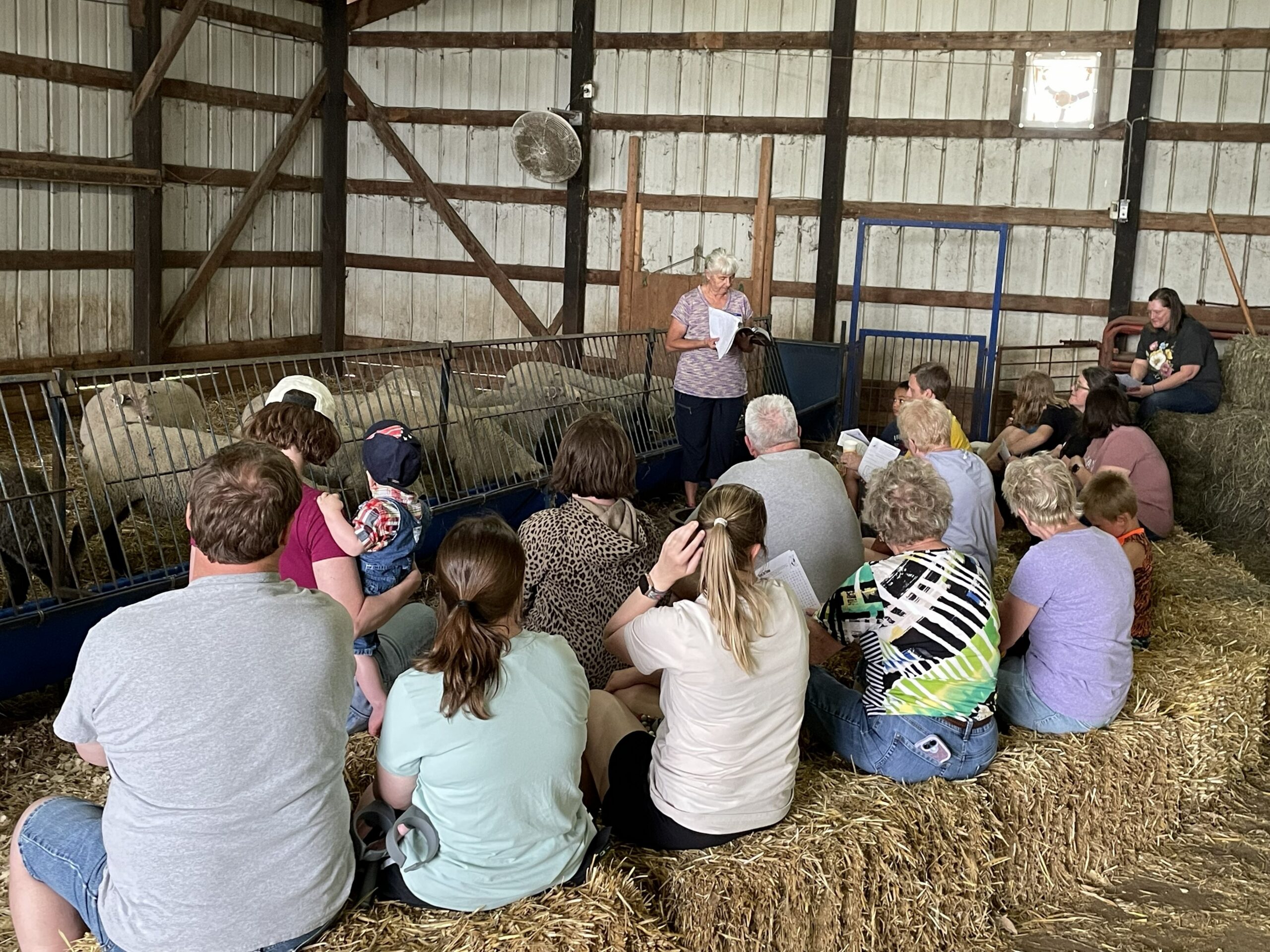 FeedMyLambs_079