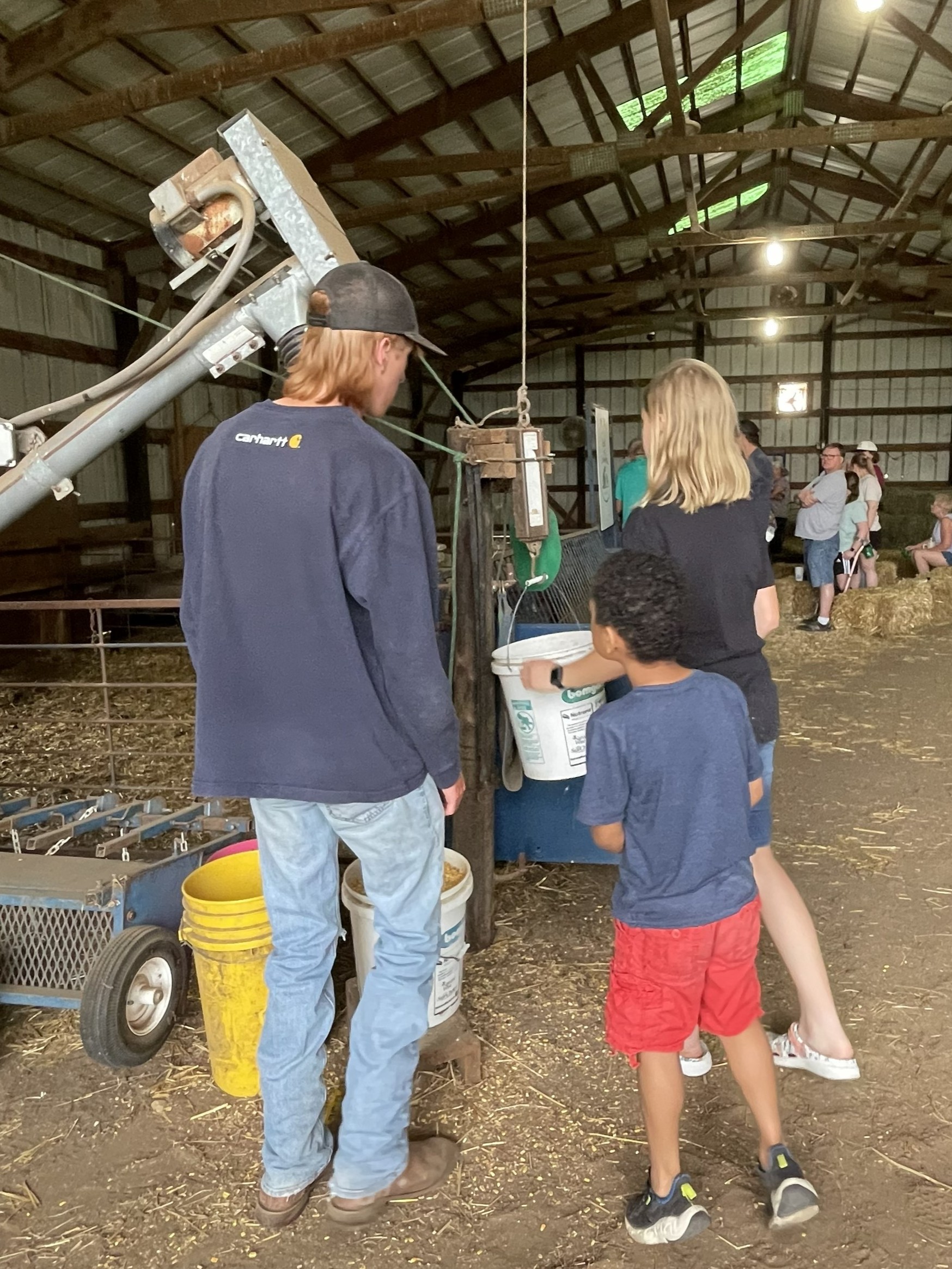 FeedMyLambs_081