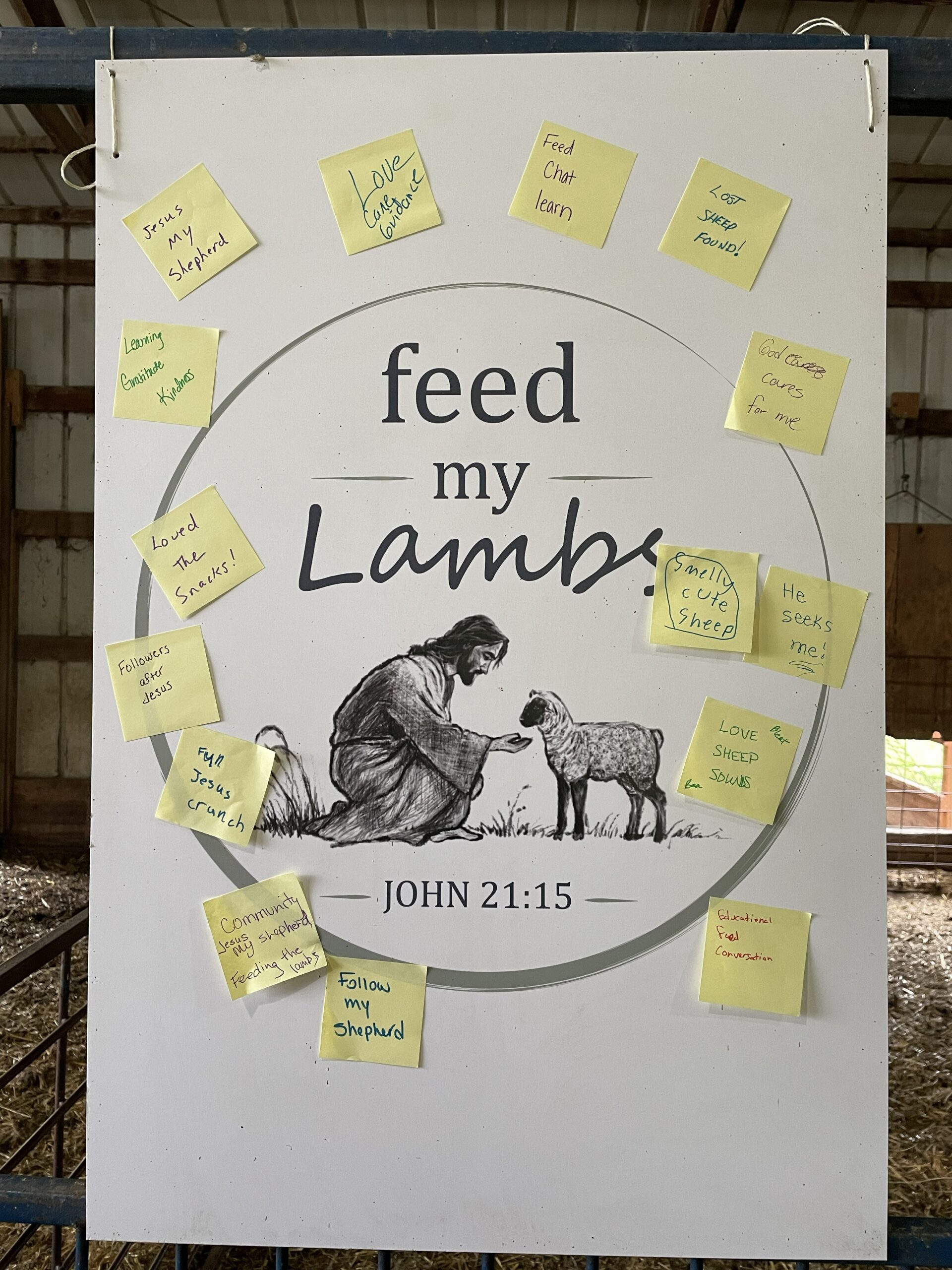 FeedMyLambs_087